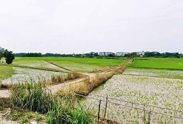 Bangkok, Real Estate For Sale, THB 880000,  6 BR,  1200 Sq. Feet,  ที่ดิน2.5แสนต่อไร่ รวม3ไร่กว่า 8.8แสนบา