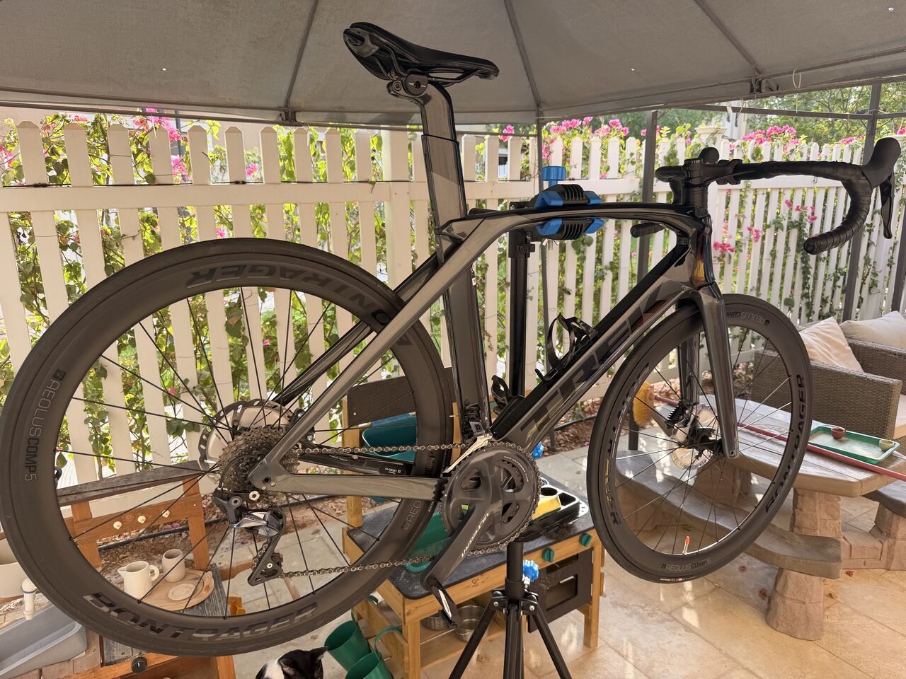 Riyadh, Bicycles, SAR 6000,  Treck Madone 2021