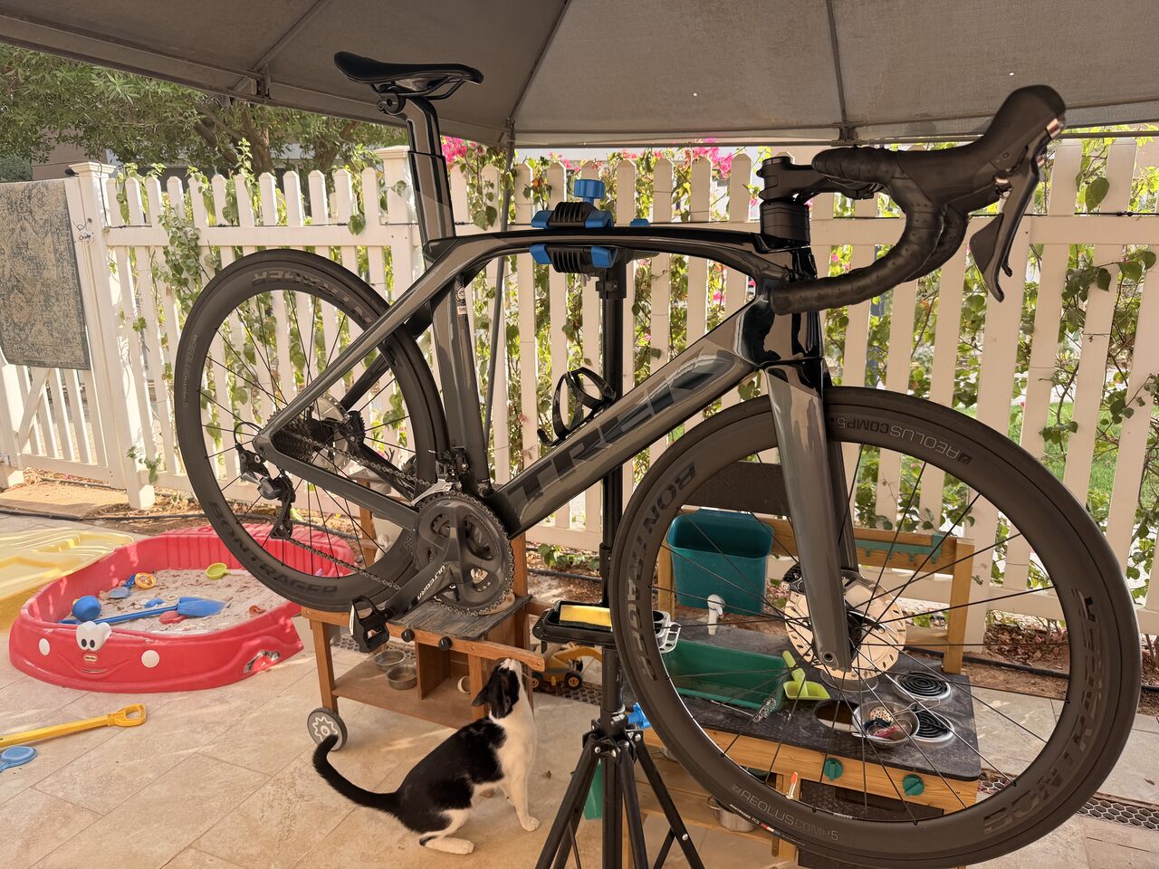 Riyadh, Bicycles, SAR 6000,  Treck Madone 2021