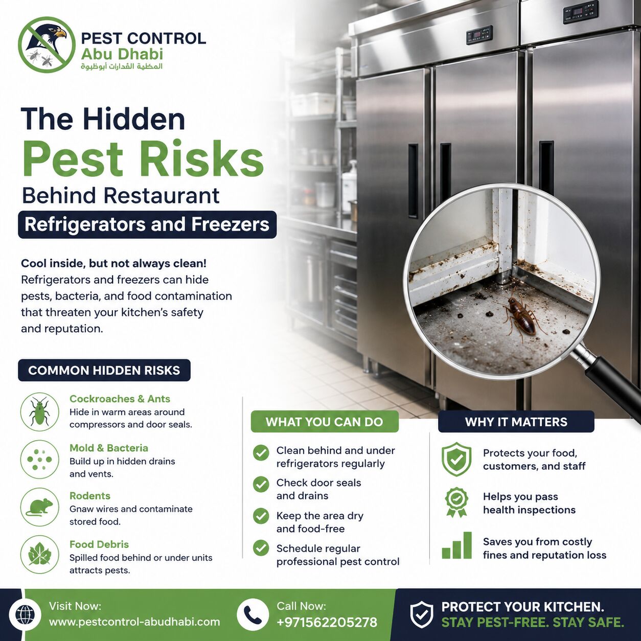 Abu Dhabi, Pest Control, The Hidden Pest Risks Behind Restaurant Refrigerators And Freezers