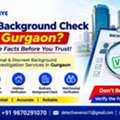 Background Check Investigation In Gurgaon &ndash; Venus Detective