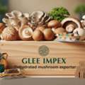 Best Mushroom Exporter In India For Global B2B Buyers