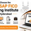 Best SAP Training Institute In Hyderabad | Avina Technologies