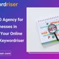 Best AI SEO Agency For Small Businesses In USA: Grow Your Online Visibility - Keywordriser