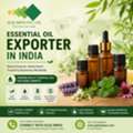 Essential Oil Exporter In India | Natural & Bulk Essential Oils &ndash; Glee Impex