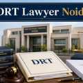 DRT Lawyer Noida ?