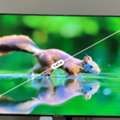 SAR 850,  Nikai Smart TV 60 Inches 4k HD Riyadh Ishbiliyah