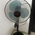 BHD 12,  Table Fan