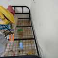 SAR 100,  Single Bed