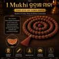 Best Rudraksha Collection In Bangalore