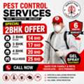 Pest Control Services Special Offer Just Only 14 BHD Call Now Limited Time