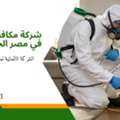 أفضل شركة مكافحة حشرات في مصر الجديدة