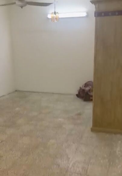 Al Shifa, Apartments, Flats, Houses & Villas, SAR 1700/month,  Furnished,  1 BR,  Family Flat (Small Family) For 3 Months/6 Months