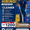 Cleaner