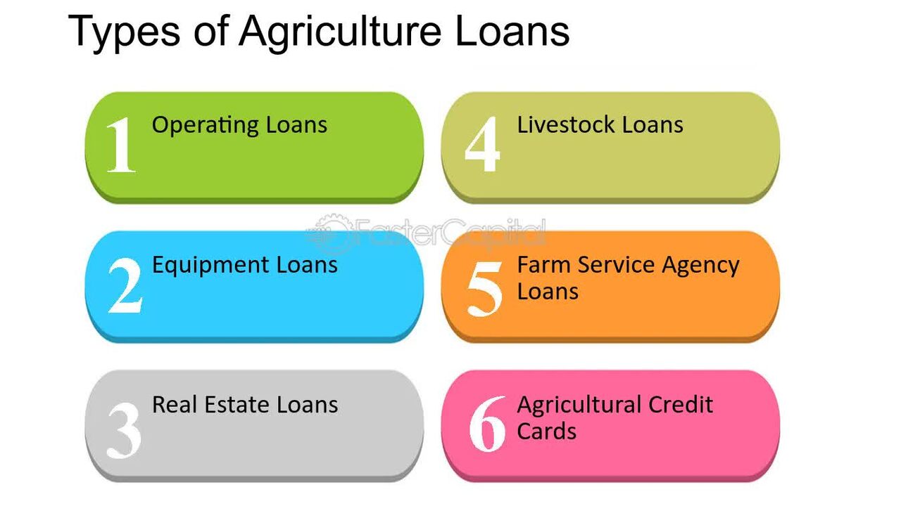 Madinah, Financial, Do You Need A Quick Loan
