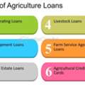 Do You Need A Quick Loan