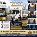 Moving Furniture Office House Paking