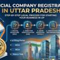 Understanding The Cost And Procedure Of Company Formation In UP