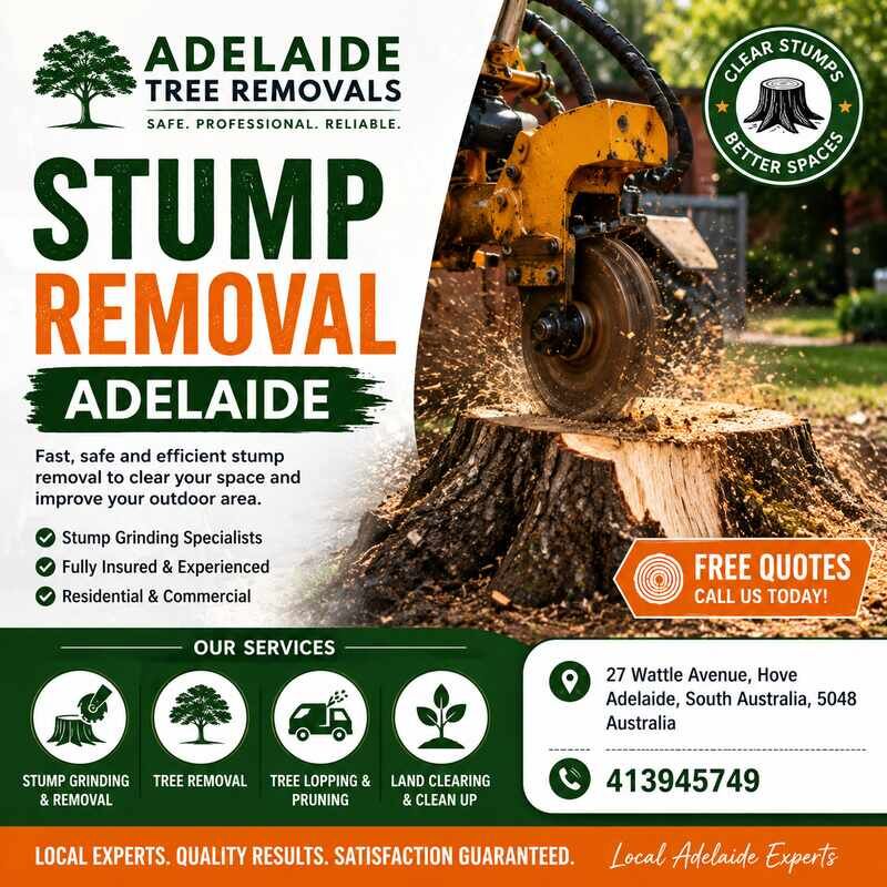 Sydney, Farm/Garden, Professional Stump Removal Adelaide Services For A Clearer Outdoor Space