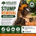 Professional Stump Removal Adelaide Services For A Clearer Outdoor Space