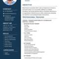 2 Year Experienced Accountant Looking For Fresher Role