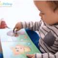 Daycare Fort Greene Brooklyn For Happy Kids