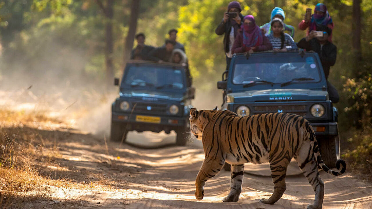 Mumbai, Travel, Exclusive Resort In Jim Corbett | Corbett Mystic Inn