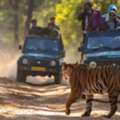 Exclusive Resort In Jim Corbett | Corbett Mystic Inn