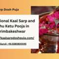 Traditional Kaal Sarp And Rahu Ketu Pooja In Trimbakeshwar
