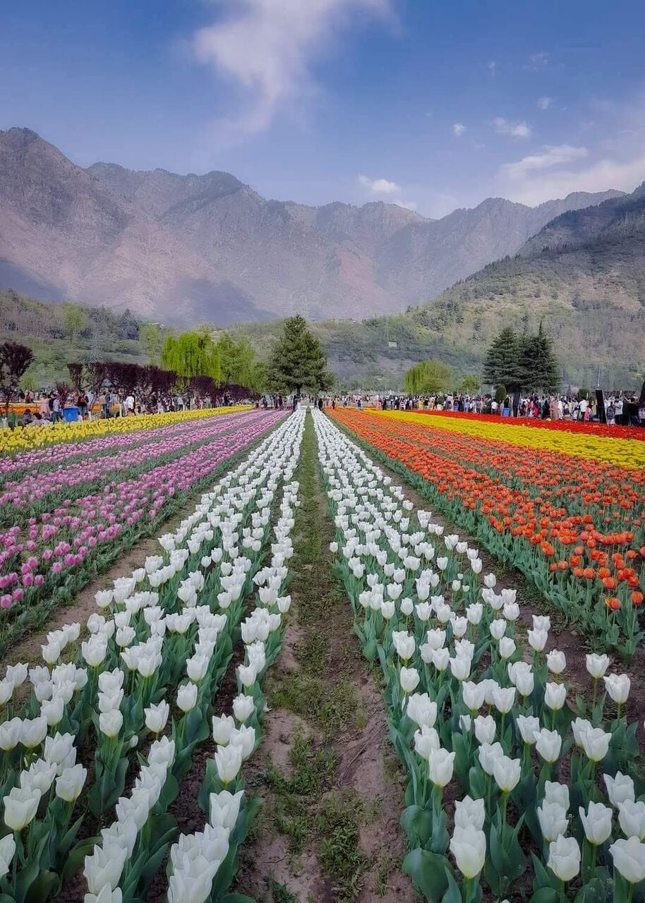 Kolkata, Travel, Kashmir Tour Package From Srinagar