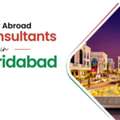 Study Abroad Consultants In Faridabad For Italy