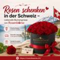 CHF 149,  Ganz Einfach Rosen Schenken &ndash; Wundervolle Ideen Für Unvergessliche Augenblicke In Zug
