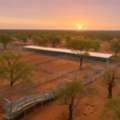 Smart Farm Planning Through Cattle Yard Design Queensland Services