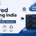 Shared Hosting India For Reliable And Budget-Friendly Websites | Hostnetindia
