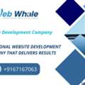 Professional Website Development Company