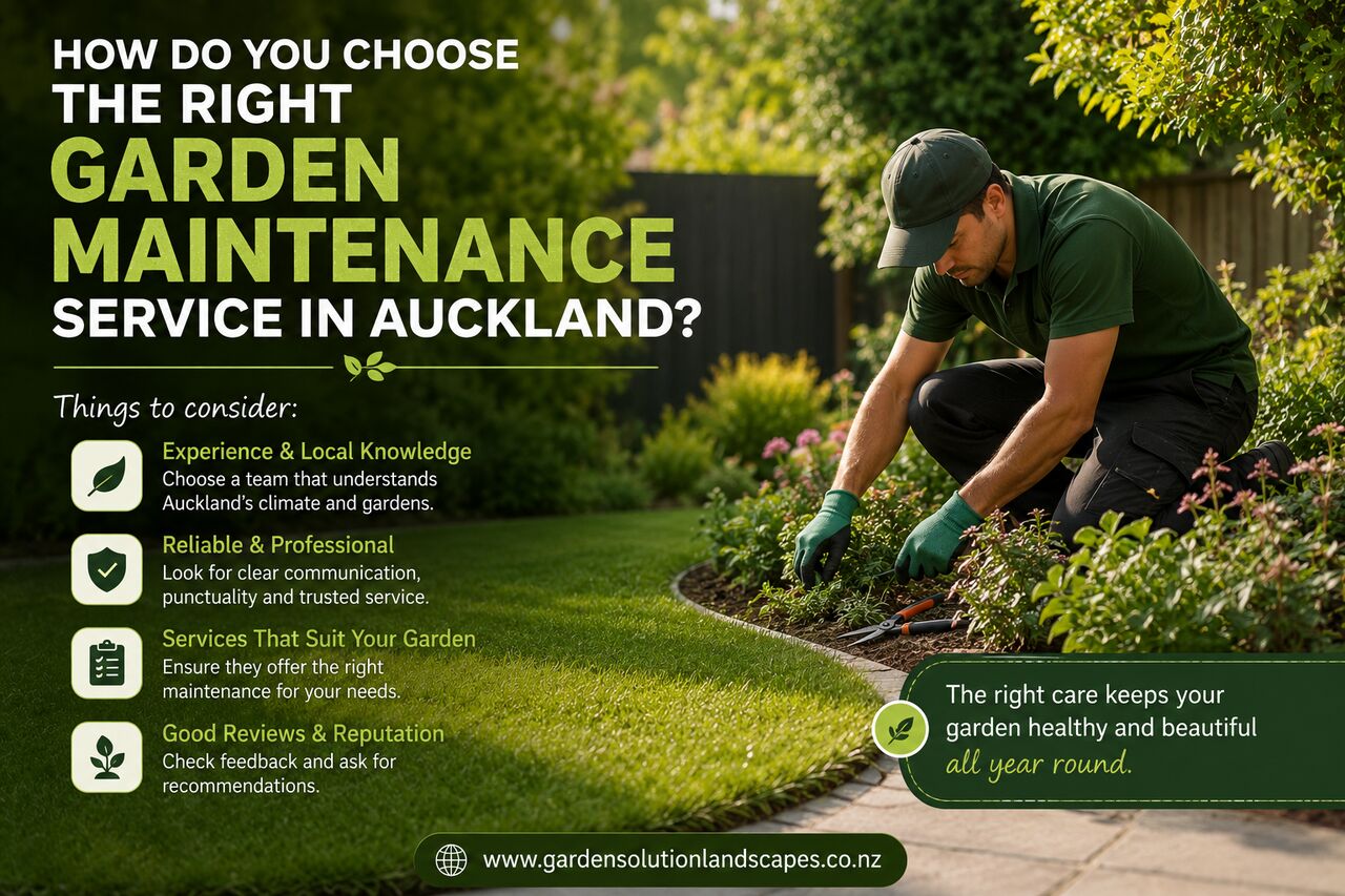Auckland, Farm/Garden, What Should You Look For In A Garden Maintenance Service In Auckland?