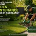 What Should You Look For In A Garden Maintenance Service In Auckland?