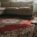 Jansons Carpets Offers Best Persian Carpets In Delhi, Featuring Beautifully Handcrafted Pi