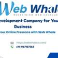 Web Development Company