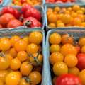 Taste Artisan Breads And Pastries In Palm Springs Today