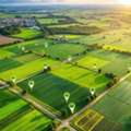 INR 17700000,  1080 Sq. Feet,  Godrej Evora Estate Panipat Plots - Premium Residential Plots In Sector 40 Near NH-44