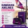 Special Guides On Hawaiian Airlines Baggage Policy