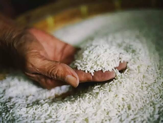 Haryana, Food, Export Of Basmati Rice From India To Turkey | Tasty Grain