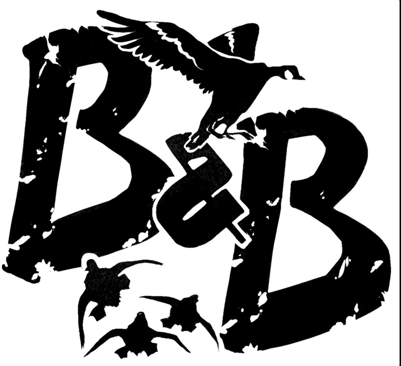 New York, Business, Colorado Guided Goose Hunt - Birds And Bucks Outdoors