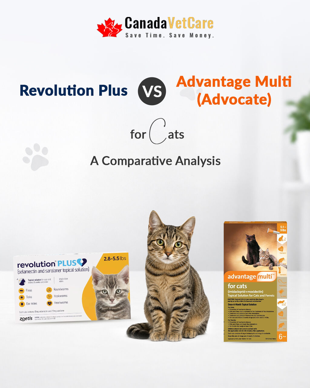 New York, Pet Supplies, USD 43,  Revolution Plus Vs Advantage Multi For Cats &ndash; Compare & Save 20% OFF | CanadaVetCare