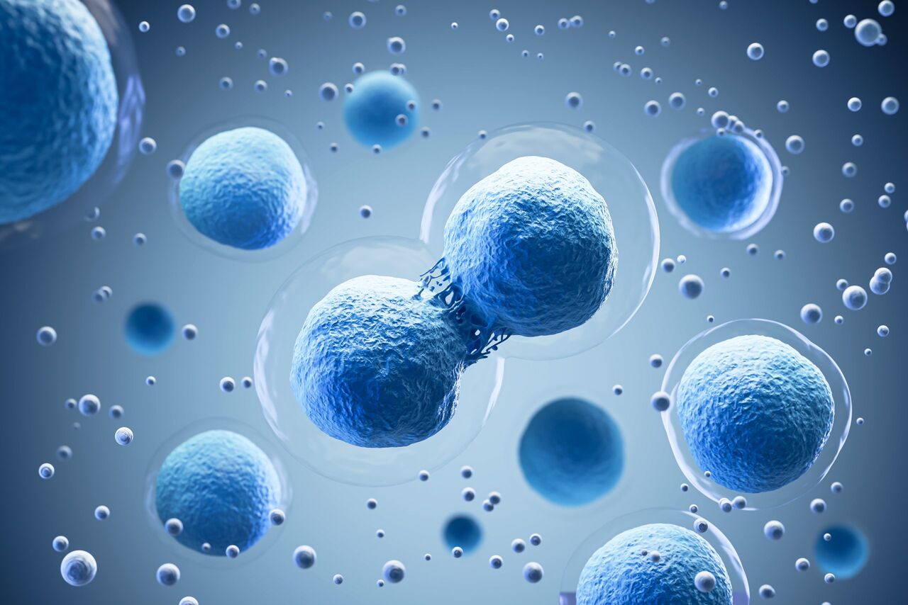 New Delhi, Health, Stem Cell Therapy & Regenerative Medicine In India