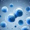 Stem Cell Therapy & Regenerative Medicine In India