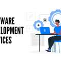 Custom Software Development Services For Growing Businesses