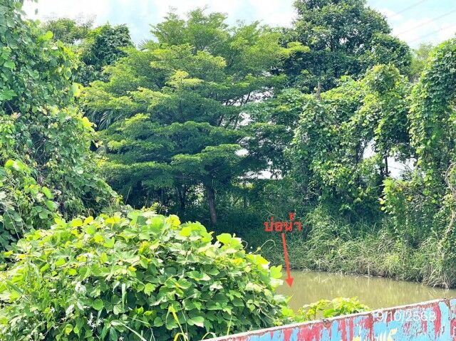 Bangkok, Real Estate For Sale, THB 16188000,  6 BR,  2000 Sq. Feet,  ขายโรงงาน ชลบุรี ถนน สายแหลมฉบัง-บ