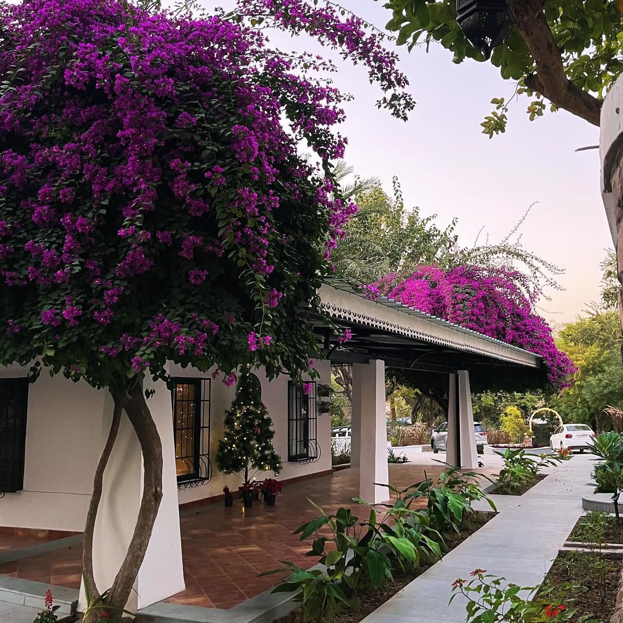 Mumbai, Travel, Nature Retreat In India | Escape, Unwind & Reconnect
